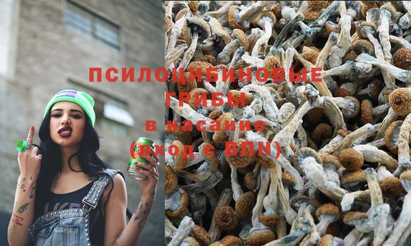 apvp Володарск