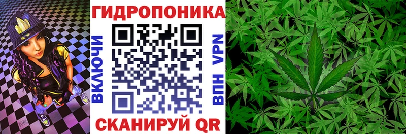 Конопля SATIVA & INDICA  Палласовка 